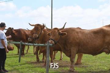 El Valle de los Nueve Alto celebra el día grande de sus fiestas patronales/Francisco Javier Santana.